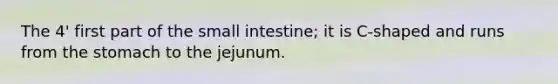 The 4' first part of the small intestine; it is C-shaped and runs from the stomach to the jejunum.