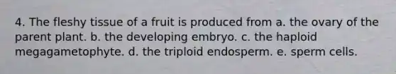 4. The fleshy tissue of a fruit is produced from a. the ovary of the parent plant. b. the developing embryo. c. the haploid megagametophyte. d. the triploid endosperm. e. sperm cells.