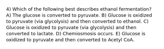 4) Which of the following best describes ethanol fermentation? A) The glucose is converted to pyruvate. B) Glucose is oxidized to pyruvate (via glycolysis) and then converted to ethanol. C) Glucose is oxidized to pyruvate (via glycolysis) and then converted to lactate. D) Chemiosmosis occurs. E) Glucose is oxidized to pyruvate and then converted to Acetyl CoA.