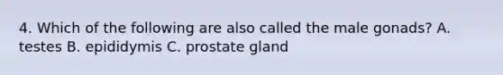 4. Which of the following are also called the male gonads? A. testes B. epididymis C. prostate gland