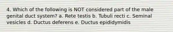 4. Which of the following is NOT considered part of the male genital duct system? a. Rete testis b. Tubuli recti c. Seminal vesicles d. Ductus deferens e. Ductus epididymidis