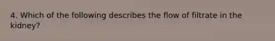 4. Which of the following describes the flow of filtrate in the kidney?