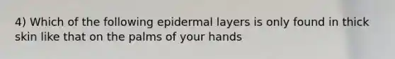 4) Which of the following epidermal layers is only found in thick skin like that on the palms of your hands