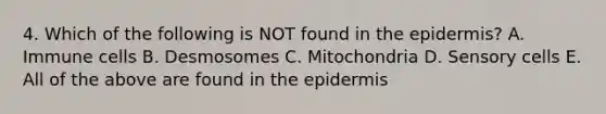 4. Which of the following is NOT found in the epidermis? A. Immune cells B. Desmosomes C. Mitochondria D. Sensory cells E. All of the above are found in the epidermis