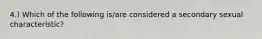 4.) Which of the following is/are considered a secondary sexual characteristic?