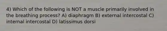 4) Which of the following is NOT a muscle primarily involved in the breathing process? A) diaphragm B) external intercostal C) internal intercostal D) latissimus dorsi