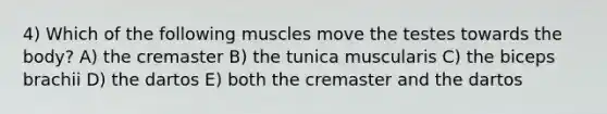 4) Which of the following muscles move the testes towards the body? A) the cremaster B) the tunica muscularis C) the biceps brachii D) the dartos E) both the cremaster and the dartos