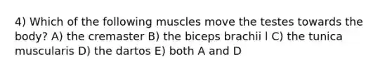 4) Which of the following muscles move the testes towards the body? A) the cremaster B) the biceps brachii l C) the tunica muscularis D) the dartos E) both A and D