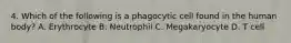 4. Which of the following is a phagocytic cell found in the human body? A. Erythrocyte B. Neutrophil C. Megakaryocyte D. T cell