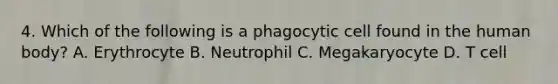 4. Which of the following is a phagocytic cell found in the human body? A. Erythrocyte B. Neutrophil C. Megakaryocyte D. T cell