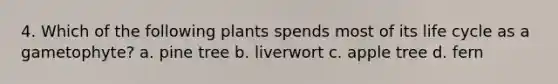 4. Which of the following plants spends most of its life cycle as a gametophyte? a. pine tree b. liverwort c. apple tree d. fern
