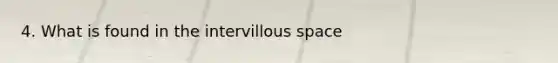 4. What is found in the intervillous space