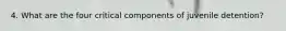 4. What are the four critical components of juvenile detention?
