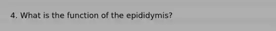 4. What is the function of the epididymis?