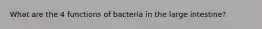 What are the 4 functions of bacteria in the large intestine?