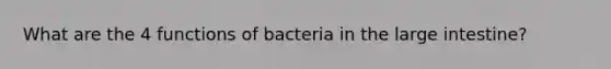 What are the 4 functions of bacteria in the large intestine?