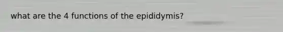 what are the 4 functions of the epididymis?