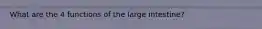 What are the 4 functions of the large intestine?
