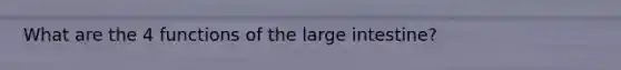 What are the 4 functions of the large intestine?