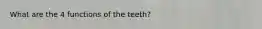 What are the 4 functions of the teeth?