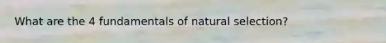 What are the 4 fundamentals of natural selection?