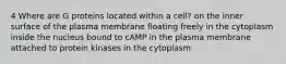 4 Where are G proteins located within a cell? on the inner surface of the plasma membrane floating freely in the cytoplasm inside the nucleus bound to cAMP in the plasma membrane attached to protein kinases in the cytoplasm