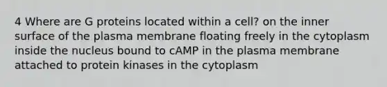 4 Where are G proteins located within a cell? on the inner surface of the plasma membrane floating freely in the cytoplasm inside the nucleus bound to cAMP in the plasma membrane attached to protein kinases in the cytoplasm