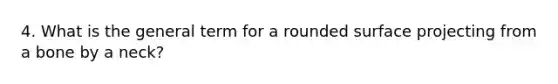 4. What is the general term for a rounded surface projecting from a bone by a neck?