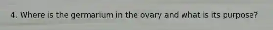 4. Where is the germarium in the ovary and what is its purpose?