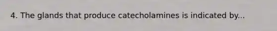 4. The glands that produce catecholamines is indicated by...