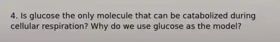 4. Is glucose the only molecule that can be catabolized during cellular respiration? Why do we use glucose as the model?