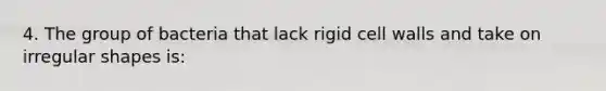 4. The group of bacteria that lack rigid cell walls and take on irregular shapes is: