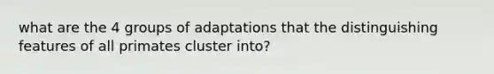 what are the 4 groups of adaptations that the distinguishing features of all primates cluster into?