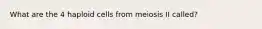 What are the 4 haploid cells from meiosis II called?