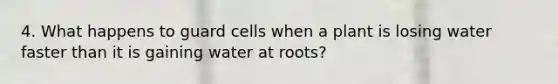 4. What happens to guard cells when a plant is losing water faster than it is gaining water at roots?