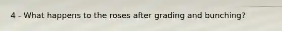 4 - What happens to the roses after grading and bunching?