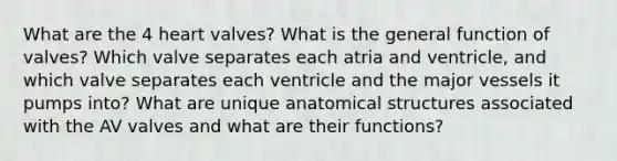 What are the 4 heart valves? What is the general function of valves? Which valve separates each atria and ventricle, and which valve separates each ventricle and the major vessels it pumps into? What are unique anatomical structures associated with the AV valves and what are their functions?