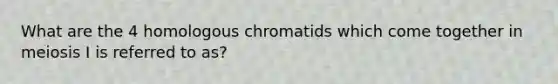 What are the 4 homologous chromatids which come together in meiosis I is referred to as?