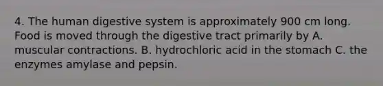 4. The human digestive system is approximately 900 cm long. Food is moved through the digestive tract primarily by A. muscular contractions. B. hydrochloric acid in the stomach C. the enzymes amylase and pepsin.