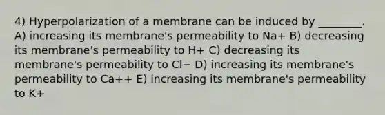 4) Hyperpolarization of a membrane can be induced by ________. A) increasing its membrane's permeability to Na+ B) decreasing its membrane's permeability to H+ C) decreasing its membrane's permeability to Cl− D) increasing its membrane's permeability to Ca++ E) increasing its membrane's permeability to K+