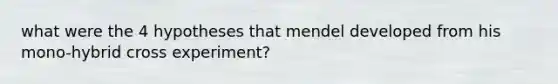 what were the 4 hypotheses that mendel developed from his mono-hybrid cross experiment?