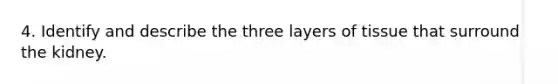 4. Identify and describe the three layers of tissue that surround the kidney.