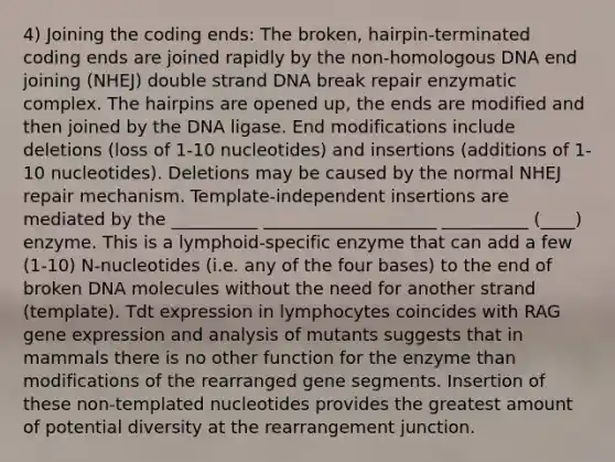 4) Joining the coding ends: The broken, hairpin-terminated coding ends are joined rapidly by the non-homologous DNA end joining (NHEJ) double strand DNA break repair enzymatic complex. The hairpins are opened up, the ends are modified and then joined by the DNA ligase. End modifications include deletions (loss of 1-10 nucleotides) and insertions (additions of 1-10 nucleotides). Deletions may be caused by the normal NHEJ repair mechanism. Template-independent insertions are mediated by the __________ ____________________ __________ (____) enzyme. This is a lymphoid-specific enzyme that can add a few (1-10) N-nucleotides (i.e. any of the four bases) to the end of broken DNA molecules without the need for another strand (template). Tdt expression in lymphocytes coincides with RAG gene expression and analysis of mutants suggests that in mammals there is no other function for the enzyme than modifications of the rearranged gene segments. Insertion of these non-templated nucleotides provides the greatest amount of potential diversity at the rearrangement junction.