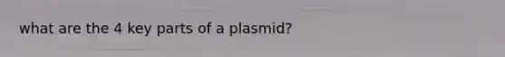 what are the 4 key parts of a plasmid?