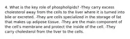 4. What is the key role of phospholipids? -They carry excess cholesterol away from the cells to the liver where it is turned into bile or excreted. -They are cells specialized in the storage of fat that makes up adipose tissue. -They are the main component of the cell's membrane and protect the inside of the cell. -They carry cholesterol from the liver to the cells.