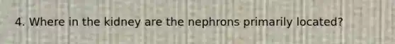 4. Where in the kidney are the nephrons primarily located?