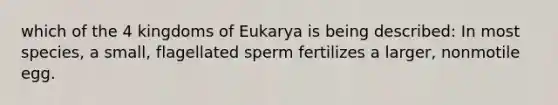 which of the 4 kingdoms of Eukarya is being described: In most species, a small, flagellated sperm fertilizes a larger, nonmotile egg.