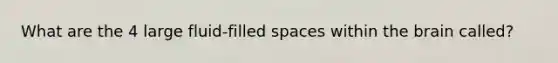 What are the 4 large fluid-filled spaces within the brain called?