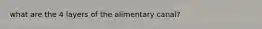 what are the 4 layers of the alimentary canal?
