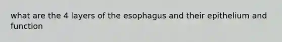 what are the 4 layers of the esophagus and their epithelium and function